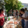 Partage gourmand autour d’un goûter convivial lors de l’événement