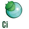 logo citique