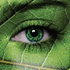 Image COTEN