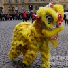Retour en images: Manifestation culturelle du Nouvel an chinois 2019 de l'Institut Confucius de l'Université de Lorraine 