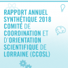 première de couverture du rapport annuel du CCOSL