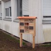hôtels à insectes sur le campus Brabois Santé