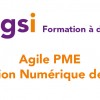 Formation à distance inédite : Agile PME - Transition numérique des PME