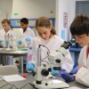 Identification d'une tique via un microscope