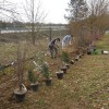 Des étudiants plantent une haie de plantes mellifères sur le campus Brabois Santé