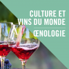 Retour sur la formation “Culture et vins du monde - Oenologie”