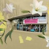 Espace Bernard-Marie Koltès : fournisseur essentiel de curiosités et de rêves