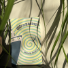 "Ultramarins" de Mariette Navarro (éditions Quidam)