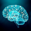 Neurosciences cognitives