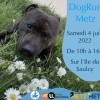 DogRun Metz - 4 juin 2022
