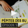 Pépites des BU : épisode 5