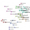 Reseau lexical pour le mot Recherche