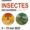 Affiche de l'expo : "Insectes"