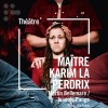 Vignette Maître Karim la perdrix