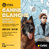 Canne Blanche / Découvre la cécité visuelle ! / Journée animée par le GIAA et le DSPV / Jeudi 12 octobre de 11h à 14h / Maison des étudiants Lorraine Sud, Campus Lettres, Nancy / Vie des Campus / CVEC / Description de l'image : On peut voir une jeune femme avec des lunettes, accompagnée de son chien guide, entrain de lire un livre en braille.