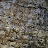 Textile médiéval - Vue à la loupe binoculaire
