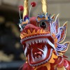 Nouvel an Chinois à la ville de Metz et dans les campus