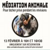 [Atelier] Médiation animale à la BU Santé 