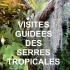 visites guidées des serres tropicales - jardin botanique du Montet - 54600 Villers-lès-Nancy