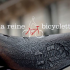 Image de la Reine Bicyclette
