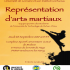Représentation d'Arts martiaux - Jeudi 29 septembre 2016 - Brabois