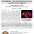 Le 27 avril 2017 à 13h30, Le Dr Patrice Codogno donnera une conférence consacrée à l'Autophagie, à l'Amphi 8 de la Faculté des Sciences et Technologies, à Vandoeuvre lès Nancy