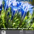 Week-end au sommet, 1er et 2 juillet 2017 au Jardin botanique Jean-Marie Pelt de Villers-lès-Nancy, 14h-18h, entrée gratuite