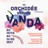 une orchidée nommée Vanda