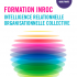 Formation Intelligence Collective Relationnelle Organisationnelle Collective
