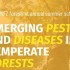 Visuel école d'été Emerging Pests and Diseases in Temperate Forests