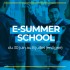 E-Summer School « Entrepreneuriat et innovation dans un environnement interculturel »