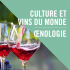 Retour sur la formation “Culture et vins du monde - Oenologie”