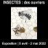 [Expo] Insectes : des ouvriers à la BU du Saulcy