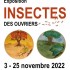Affiche de l'expo : "Insectes"