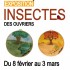 [Expo] "Insectes, des ouvriers" à la BU Santé