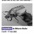 Infographie "Exposition de Mélanie Muller"
