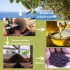 L’industrie de l’huile d’olive dans la région méditerranéenne : du déchet à la ressource