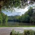 L'étang autour duquel les relevés ont eu lieu