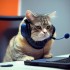 Le CAT enquête… à l'Université de Lorraine Le CAT enquête… à l'Université de Lorraine