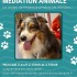 [Atelier] Médiation animale à la BU Santé 
