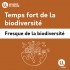 fresque la biodiversité