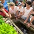 Collégiens du réseau des collèges La main à la pâte