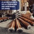 Cérémonie des marteaux de l'ENSG Cérémonie des marteaux de l'ENSG