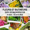 Affiche de l'expo : "Fleurs et butineurs"