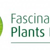 Fascination of Plants day au jardin botanique jean-marie pelt