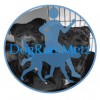 DogRun Metz