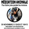 Mediation animale à la BU Santé