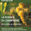 [Expo] "La science du champagne" à la BU Ingénieurs Brabois