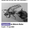 Infographie "Exposition de Mélanie Muller"
