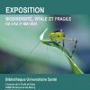 [Expo] "Biodiversité vitale et fragile" à la BU Santé